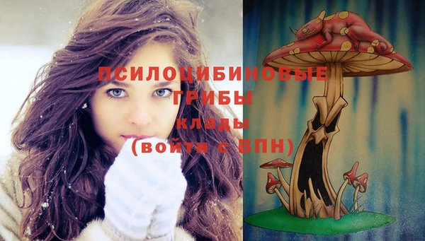 крисы Кинешма