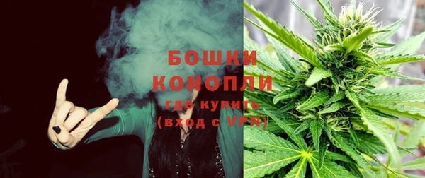 крисы Кинешма
